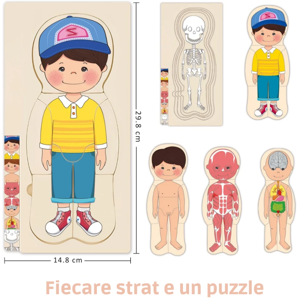 Puzzle Corpul Uman – Baiat, 5 Straturi, 28 Piese din Lemn, 3+ Ani - LUDIRO