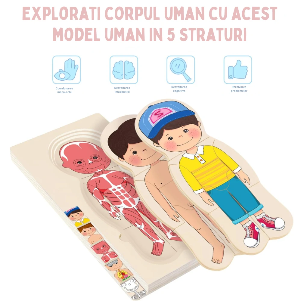 Puzzle Corpul Uman – Baiat, 5 Straturi, 28 Piese din Lemn, 3+ Ani - LUDIRO