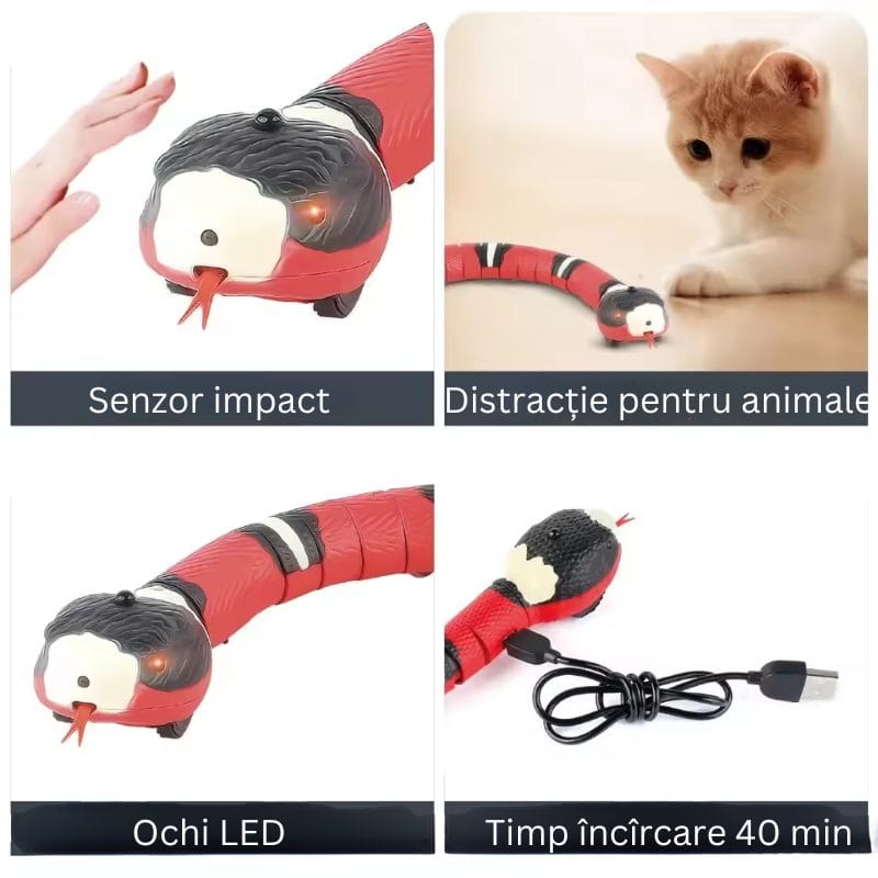Jucarie Interactiva Sarpe RC, cu Incarcare USB, Miscare Realista in S, Senzatie Educativa si Distractiva pentru Animale de Companie, Perfect pentru Dezvoltarea Creativitatii si a Reflexelor, +6 Ani - LUDIRO