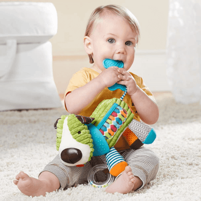Jucarie Bebelusi 3 in 1 Ludiro Catel Interactiv cu Accesorii Zornaitoare, Dentitie si Agatatoare - LUDIRO