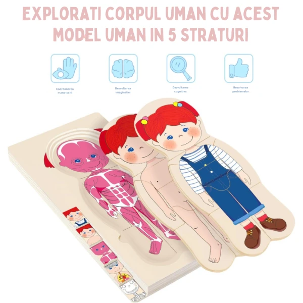 Puzzle Corpul Uman – Fetița, 5 Straturi, 28 Piese din Lemn, 3+ Ani - LUDIRO