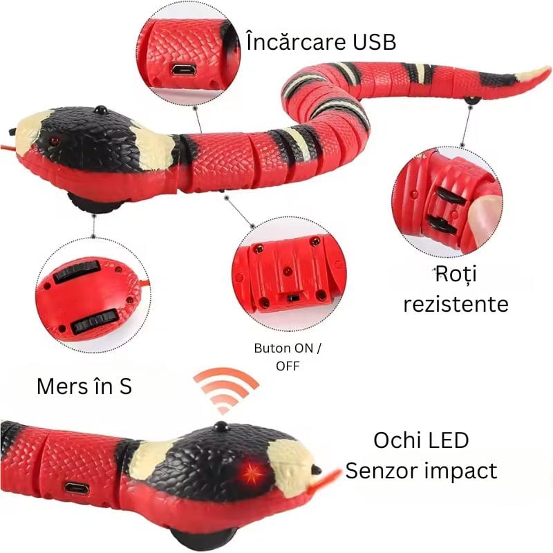 Jucarie Interactiva Sarpe RC, cu Incarcare USB, Miscare Realista in S, Senzatie Educativa si Distractiva pentru Animale de Companie, Perfect pentru Dezvoltarea Creativitatii si a Reflexelor, +6 Ani - LUDIRO