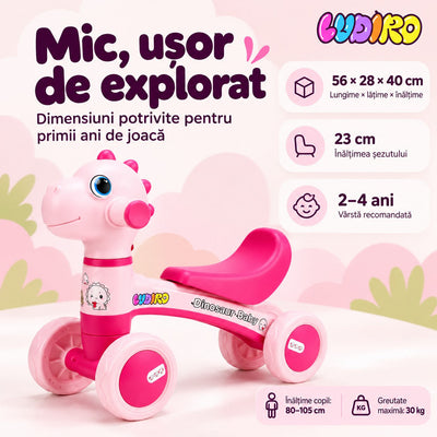 Dimensiunile bicicletei Dinozaur LUDIRO roz: 56 x 28 x 40 cm, șezut la 23 cm, copii de 80–105 cm, maximum 30 kg, produs resigilat