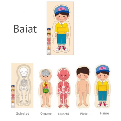 Puzzle Corpul Uman – Baiat, 5 Straturi, 28 Piese din Lemn, 3+ Ani - LUDIRO