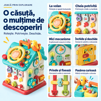 Căsuță interactivă LUDIRO cu detalii ale volanului, lacătelor, ceasului, ușițelor, curelelor și păsării cu omiduțe