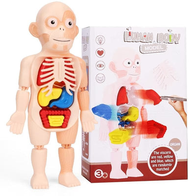 Resigilat - Jucarie Educativa, Corpul Uman, 17 Piese, 23 Cm, Invatare prin Joaca, + 3 Ani, Utility One - LUDIRO