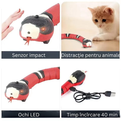 Jucarie Interactiva Sarpe RC, cu Incarcare USB, Miscare Realista in S, Senzatie Educativa si Distractiva pentru Animale de Companie, Perfect pentru Dezvoltarea Creativitatii si a Reflexelor, +6 Ani - LUDIRO