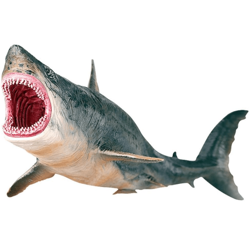 Figurina Rechin Megalodon Realista LUDIRO, Jucarie Educativa XXL pentru Copii, 25.5 cm - LUDIRO