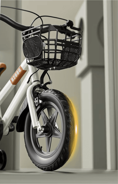 Bicicleta pentru Copii Ludiro 16 Inch, Diametru Roti 40 Cm, cu Frane Fata-Spate, Roti Ajutatoare, Cauciucuri Anti-Alunecare si Cadru din Otel, Cos Metalic, Ideala pentru Copii de 4-7 Ani, Turcoaz - LUDIRO