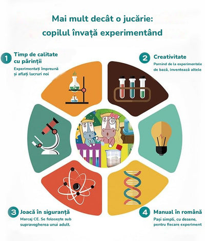 Infografic: timp de calitate cu părinții, creativitate, joacă în siguranță și manual în română