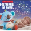 Ilustrație de prezentare a koalei cu proiecție de stele într-o scenă nocturnă.