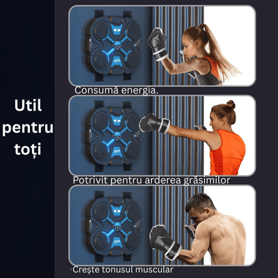 LUDIRO – Exemple de utilizare a panoului de box