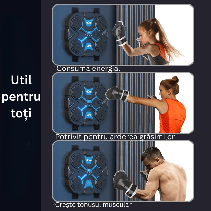 LUDIRO – Exemple de utilizare a panoului de box
