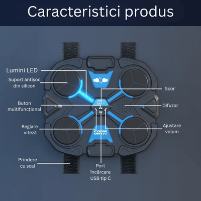 LUDIRO – Ținte LED, scor, butoane și port USB-C ale panoului