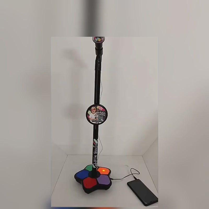 Video cu microfonul karaoke resigilat: stativul cu bază luminoasă și conectarea la telefon prin cablu