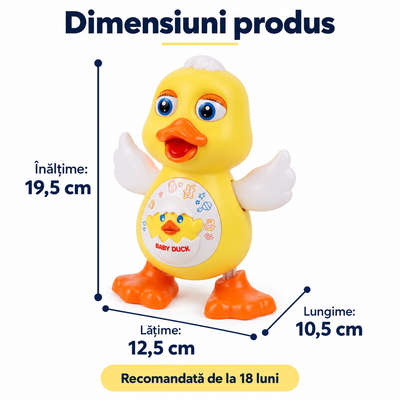 Dimensiunile rățuștii LUDIRO: 19,5 cm înălțime, 12,5 cm lățime și 10,5 cm lungime; recomandată de la 18 luni.