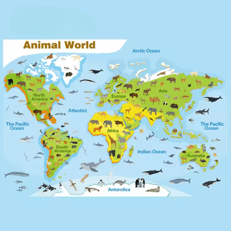 Poster Animal World cu harta lumii și animale ilustrate, inclus în setul LUDIRO.