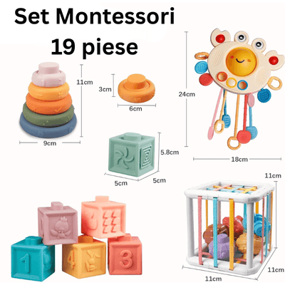 Cele 19 piese ale setului Montessori LUDIRO și dimensiunile lor